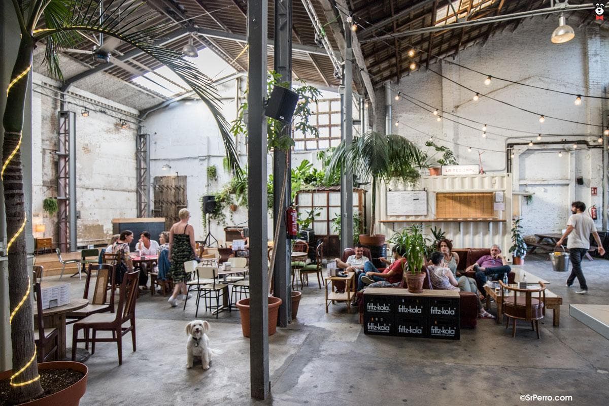 Best Cafes to Work in Valencia: A Curated List