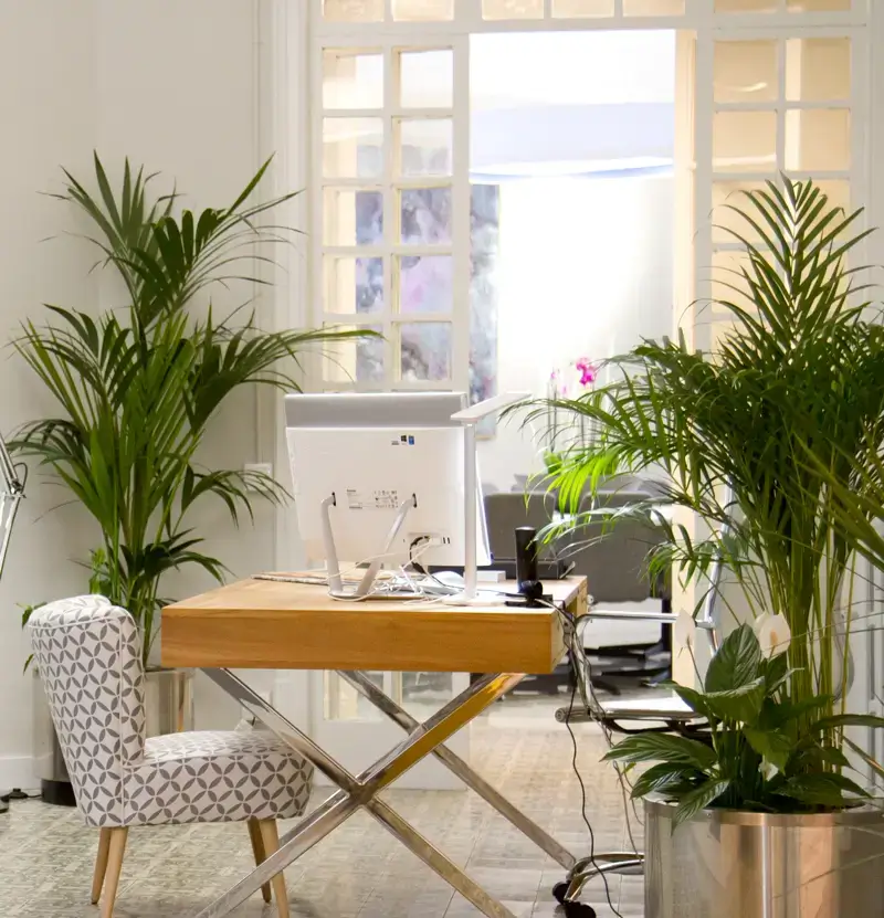 Coworking Wekow Balmes y Rosselló