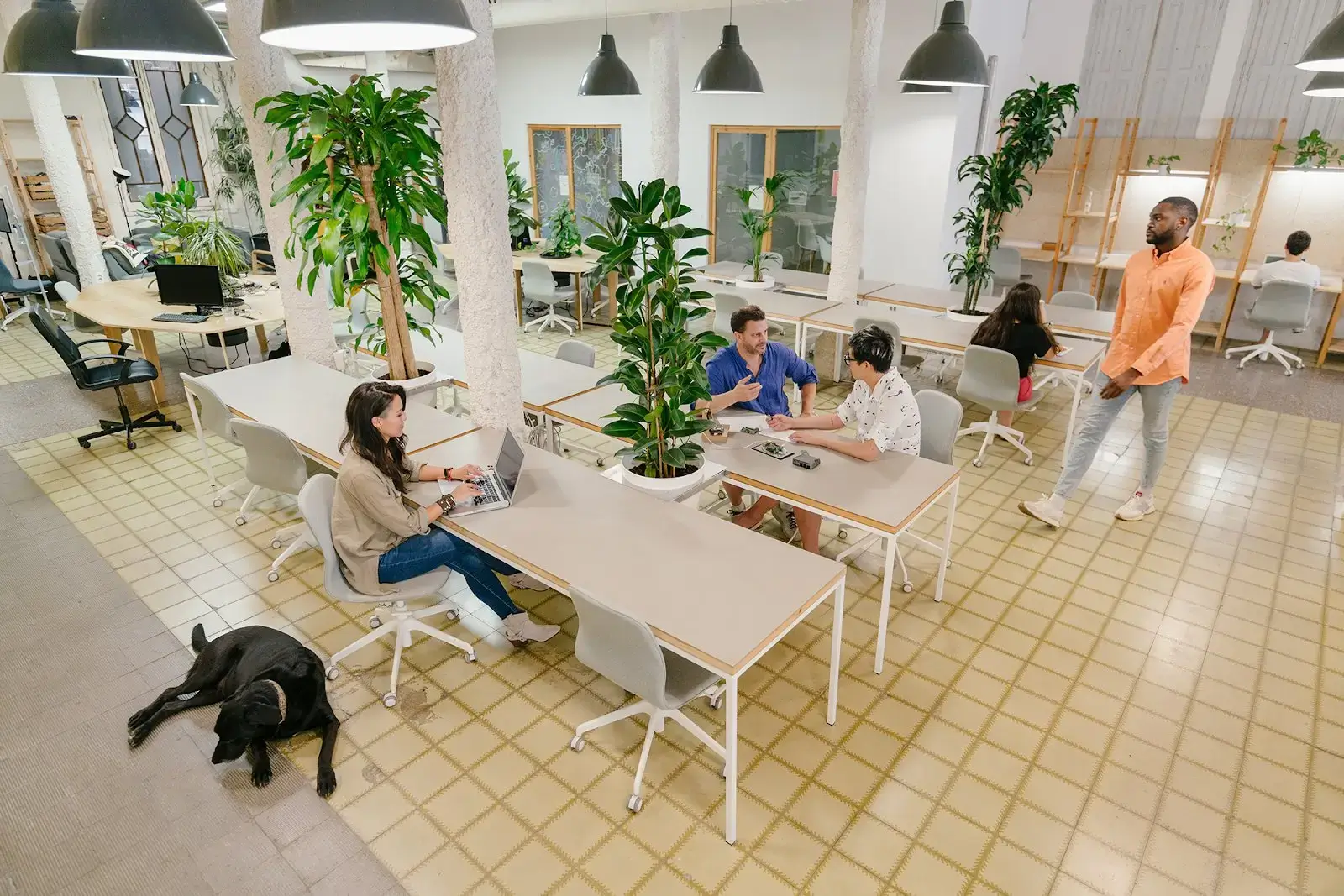 MOB Bailèn - Coworking and Office Space